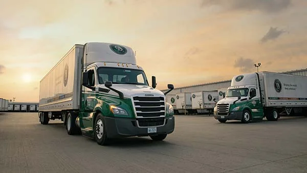 Old Dominion Freight Line Trucks at Sunset